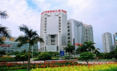 中金岭南演绎信息化“蝶变”